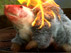 Possum Death Spree