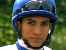 Jockey Stud