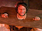 All Access: Middle Ages: The Fabulous Life of Serfs