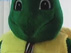 Twenty-Something Normal Turtle
