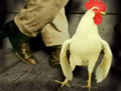 The Cock Song