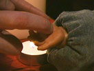 Tiny Hands: Palm Reader