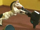 A Town Called Panic: Horse\'s Nephew