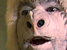 White Gorilla, Ep 1: What\'s A White Gorilla