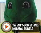 Twenty-Something Normal Turtle